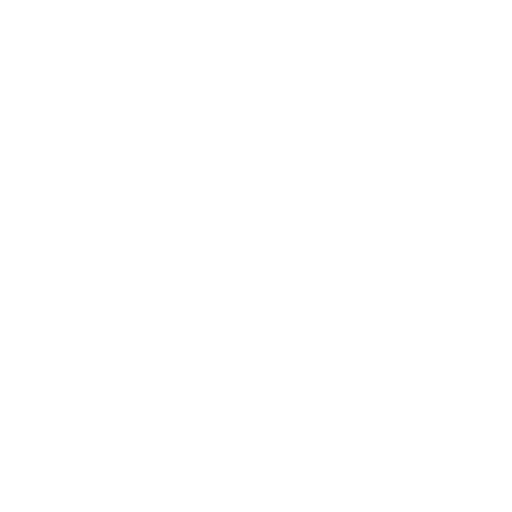 NERDAGES Logo